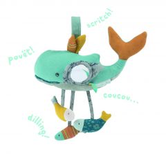 Activiteiten Walvis
