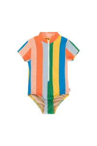 Multicolor Stripes Swimsuit multicolor